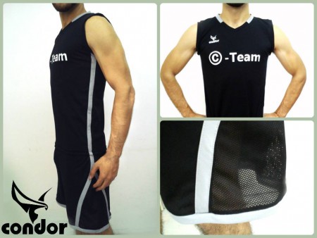 Modelo C-TEAM
