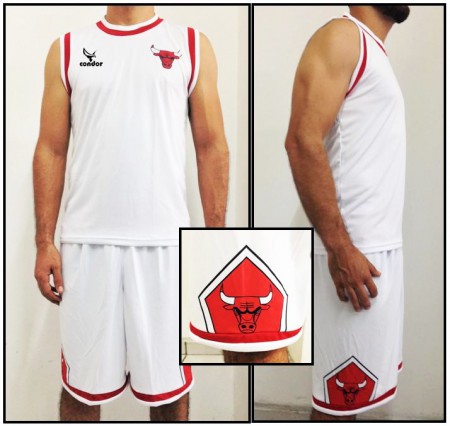 Modelo TOROS